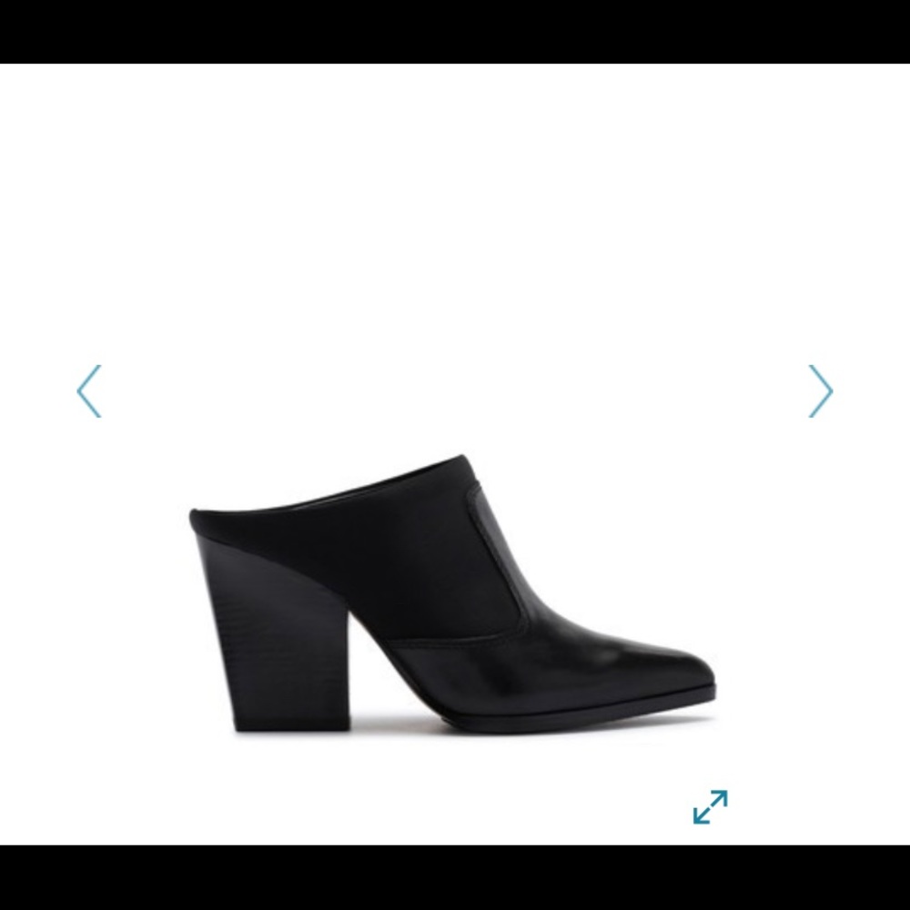 Donald Pliner mules